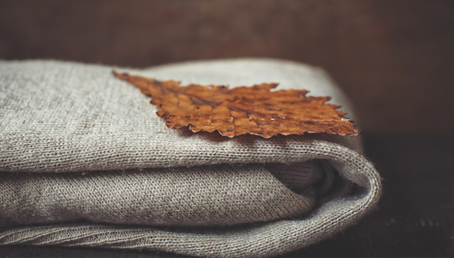 Schöner Herbst in der Nijmegen-Lent