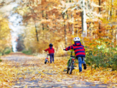 Herbst-Nijmegen