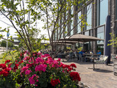 Terras Nijmegen